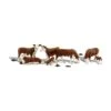Woodland Scenics A2767 O Train Figures Hereford Cows -Model Toys Shop a2767 f 1