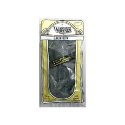 Woodland Scenics L164 N/HO Lichen Dark Green 1.5 Quarts Train Scenery
